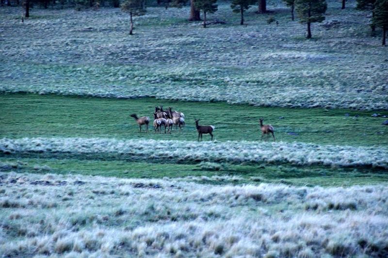 1006111937-Baldy 114.jpg